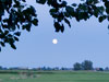 moonrise wartena
